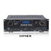 SF.AUDIO廠家低價供應批發(fā)DSP-9300大功率功放！