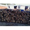 供應(yīng)各種規(guī)格的柏木 油柏