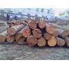 供應(yīng)香椿木 紅椿木板材