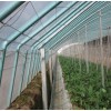 蔬菜大棚建設，蔬菜大棚造價，蔬菜大棚價格，蔬菜大棚規(guī)格 高端