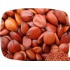 物美價廉保定市紅棗種子,紅棗種子價格，選擇順通酸棗仁廠家供應