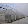 福建溫室大棚 福建溫室大棚公司