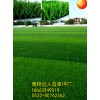 人工草坪足球場造價 足球場人工草坪做法