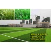 足球場真草草坪價格