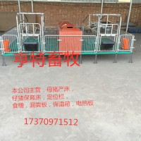 河北泊頭雙體母豬分娩產床設備廠家直銷