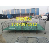 河北泊頭雙體仔豬保育床設備廠家直銷