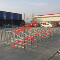 河北泊頭母豬定位欄設備廠家直銷