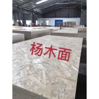 OSB歐松板6mm（定向結構刨花板)