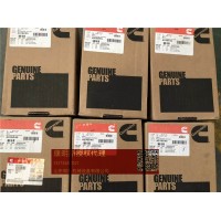 預熱款QSX15活塞組件4376246南京馬勒活塞廠生產