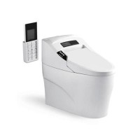 智能衛(wèi)浴系列 6101