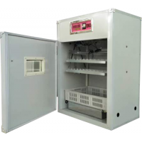 孵化機  新源176枚電腦全自動孵化機