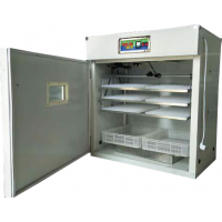 孵化機(jī)   新源528枚電腦全自動孵化機(jī)