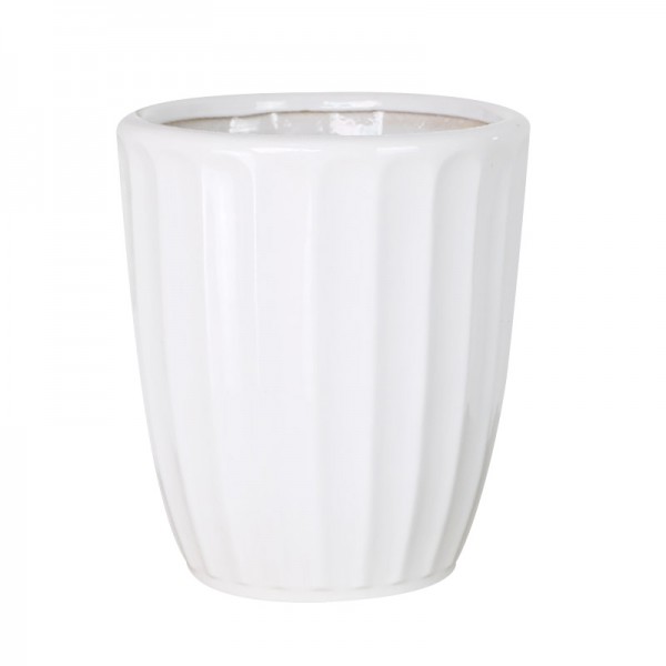 饒平縣聚新貿易商行