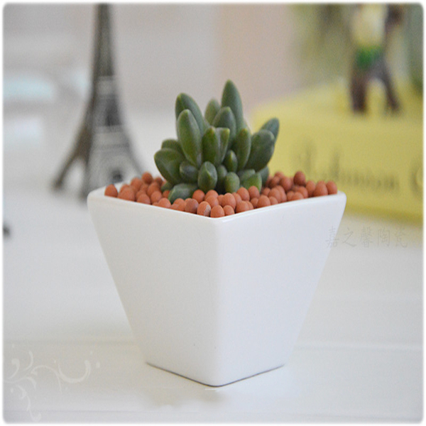 潮州市楓溪區(qū)嘉之馨陶瓷網(wǎng)上經(jīng)營部