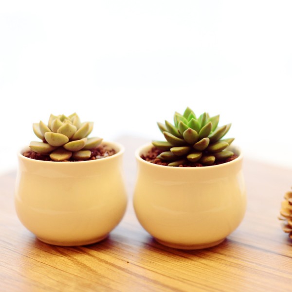 廣東明宇科技股份有限公司