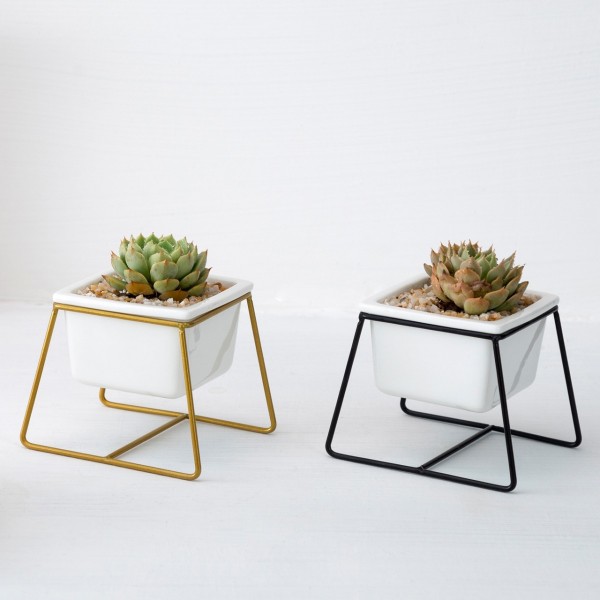 潮安區花下居陶瓷制作廠