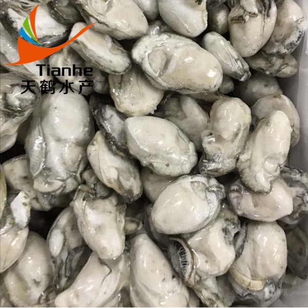 饒平縣天鶴水產有限公司