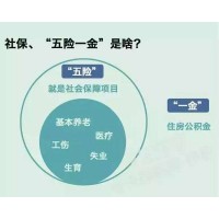 深圳分公司員工社保代繳，深圳企業員工社保代理