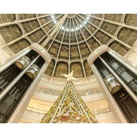 山東鼎亞電梯生產銷售觀光電梯