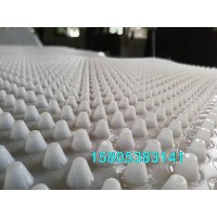 天津車庫頂板排水板/疏水板廠家直銷