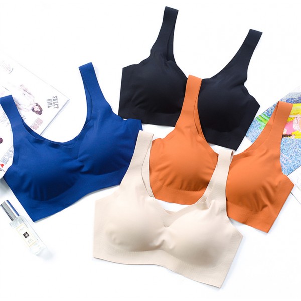 汕頭市潮陽(yáng)區(qū)貴嶼富佳盛針織內(nèi)衣