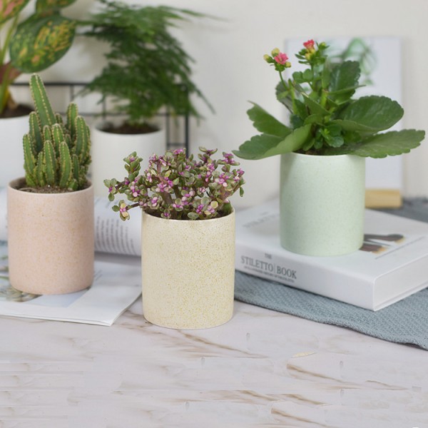 潮州市楓溪區(qū)恒青陶瓷網(wǎng)店