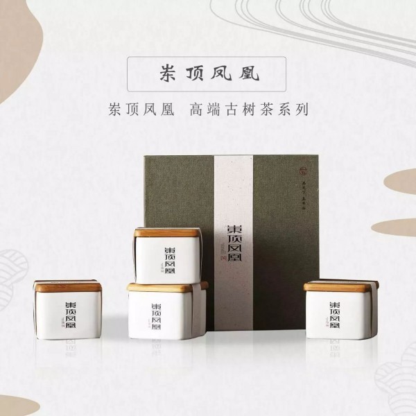 廣東千庭茶業投資有限公司