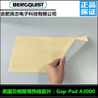 高志電子為您提供優(yōu)質(zhì)的美國(guó)貝格斯GapPadA3000