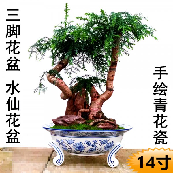 深圳市寶安區新安佳達利陶瓷制作廠