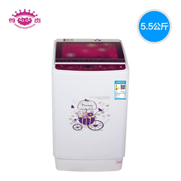 安徽尊貴電器集團有限公司