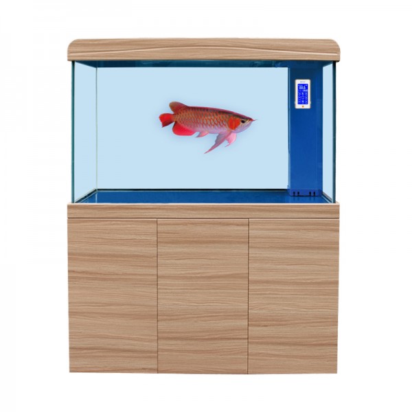 廣東博宇集團(tuán)有限公司