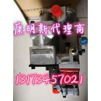 供應(yīng)KTA19-G8燃油泵4915008福建明輝發(fā)電機組出廠