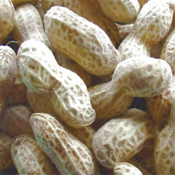 河北德力食品有限公司