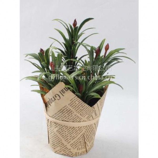 汕頭金董實業有限公司