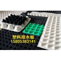 黑色綠色白色排水板/廠家定做生產(chǎn)