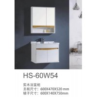 HS-60W54