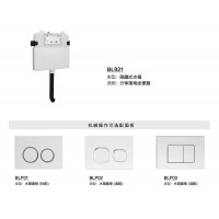 BL921 隱藏式水箱
