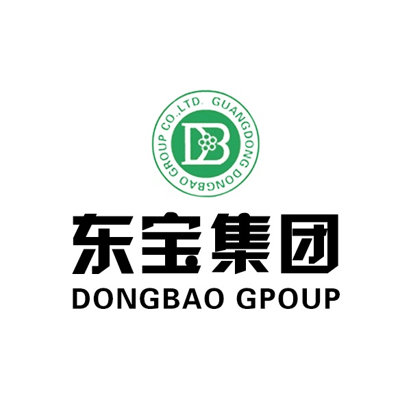 廣東東寶集團有限公司